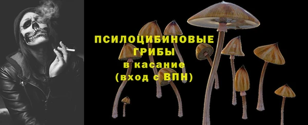 бошки Абинск