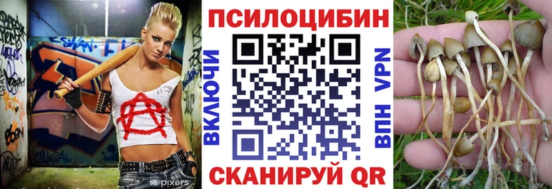 Галлюциногенные грибы Cubensis дарнет шоп Чистополь